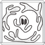 'UFO'
