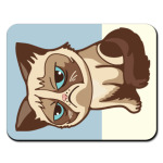 Угрюмый кот Тард - Grumpy Cat