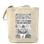 Холщовая сумка