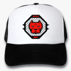Кепки Trucker