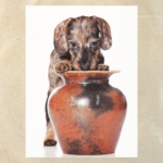 Самые милые щенки