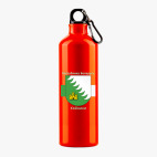 Металлическая бутылка 700 мл UV-DTF