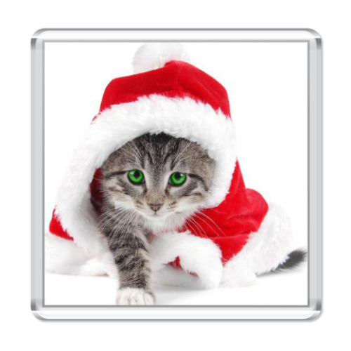 Магнит с принтом Котенок