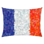 Флаг Франции