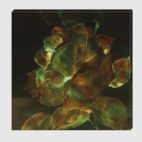 Холст 50 х 50 см Золотая роза