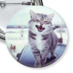 Смазливый кот.