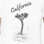 Joshua tree
