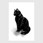 Черная кошка