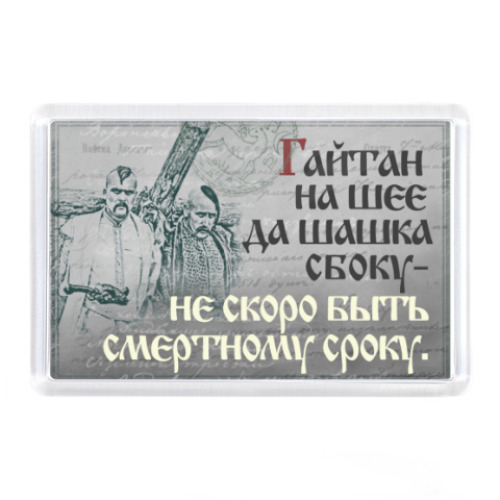 Магнит казаки