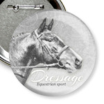 Конный спорт, лошади. Dressage