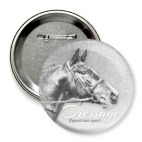 Конный спорт, лошади. Dressage