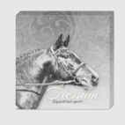 Конный спорт, лошади. Dressage