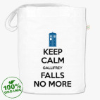 GALLIFREY FALLS NO MORE