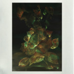 Золотая роза