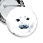 Малыш тюлень