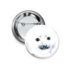 Малыш тюлень