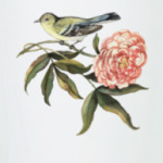 Певчая птичка