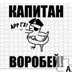  'Капитан воробей!'
