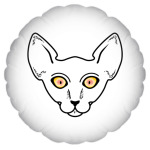 Кот смотрит на тебя