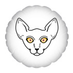 Кот смотрит на тебя