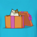 Новокот — Пятничный Котик №36