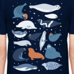 ластоногие