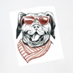 Бандито гангстерито