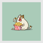 Пятничный Котик №5