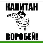  'Капитан воробей!'