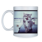 Смазливый кот.