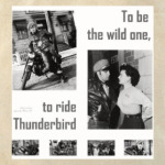 'The wild one'