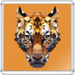 Тигр / Tiger
