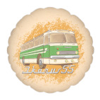 Подушка 35x35 см с цветной обратной стороной IKARUS 55