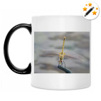 Кружка-хамелеон