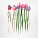 Акварельные цветы