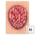 чувствую красный (sensor red)