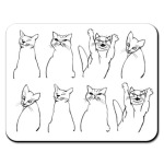 Кошачьи характеры