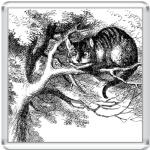  'Чеширский Кот'