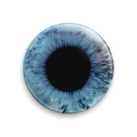  голубой глаз