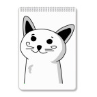 кот который знает