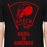 Жизнь за комсомол