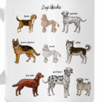 Собаки - лучшие друзья!