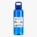 Прозрачная спортивная бутылка