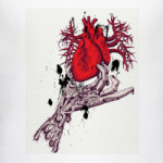  футболка Madness