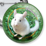 Самый пушистый (шиншилла)