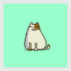 Пятничный Котик №15