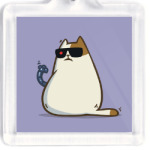 Пятничный Котик №11