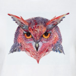 Совы. Совушки. Owl. Owls.