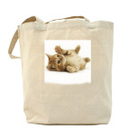 Холщовая сумка