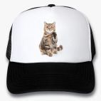 Кепки Trucker